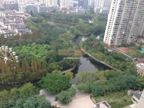 &#122;&#111;&#116;&#121;&#20013;&#27431;